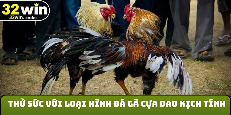 Thử sức với loại hình đá gà cựa dao kịch tính