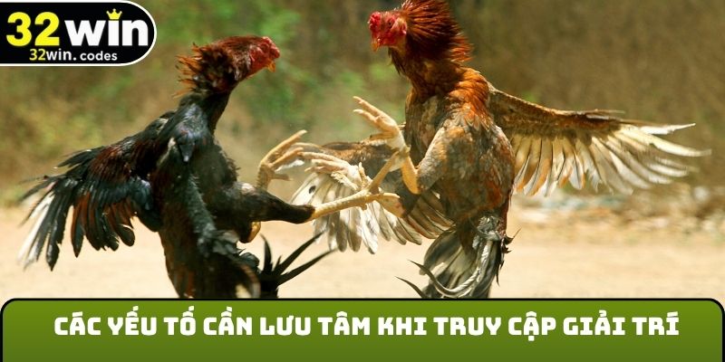 Các yếu tố cần lưu tâm khi truy cập giải trí