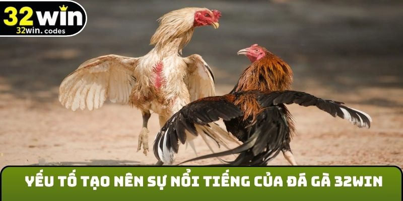 Yếu tố tạo nên sự nổi tiếng của đá gà 32Win