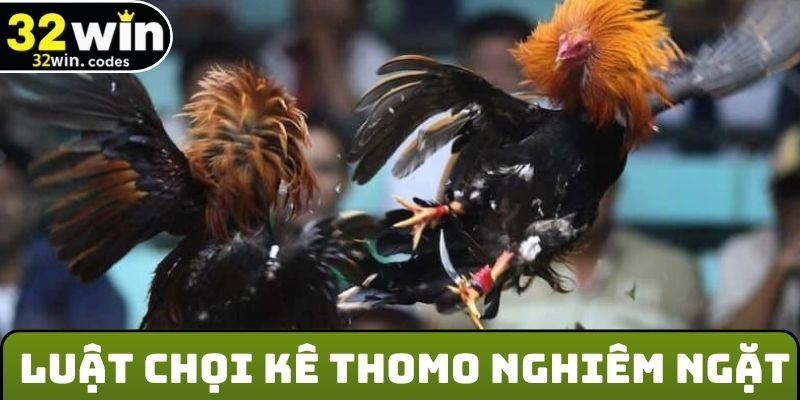 Luật đá gà Thomo trực tuyến rất nghiêm ngặt